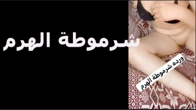 سلمى شرموطة الهرم بتعرض نفسها وتطلب من شاب يجى ينيكها علشان جوزها مسافر موقع نيكنى موقع نيكني سكس مصري جديد سكس جديد