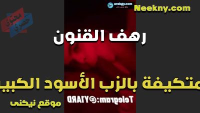 رهف القنون متكيفه بالزب الاسود الكبير خرق كسها واهات ساخته
