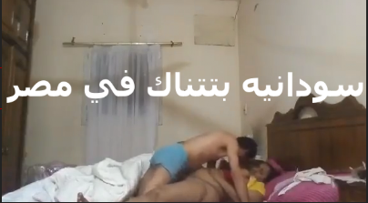 خول مصري سكس تويتر راكب كس السودانيه الشرموطه بتقوله عجبك الكس السوداني