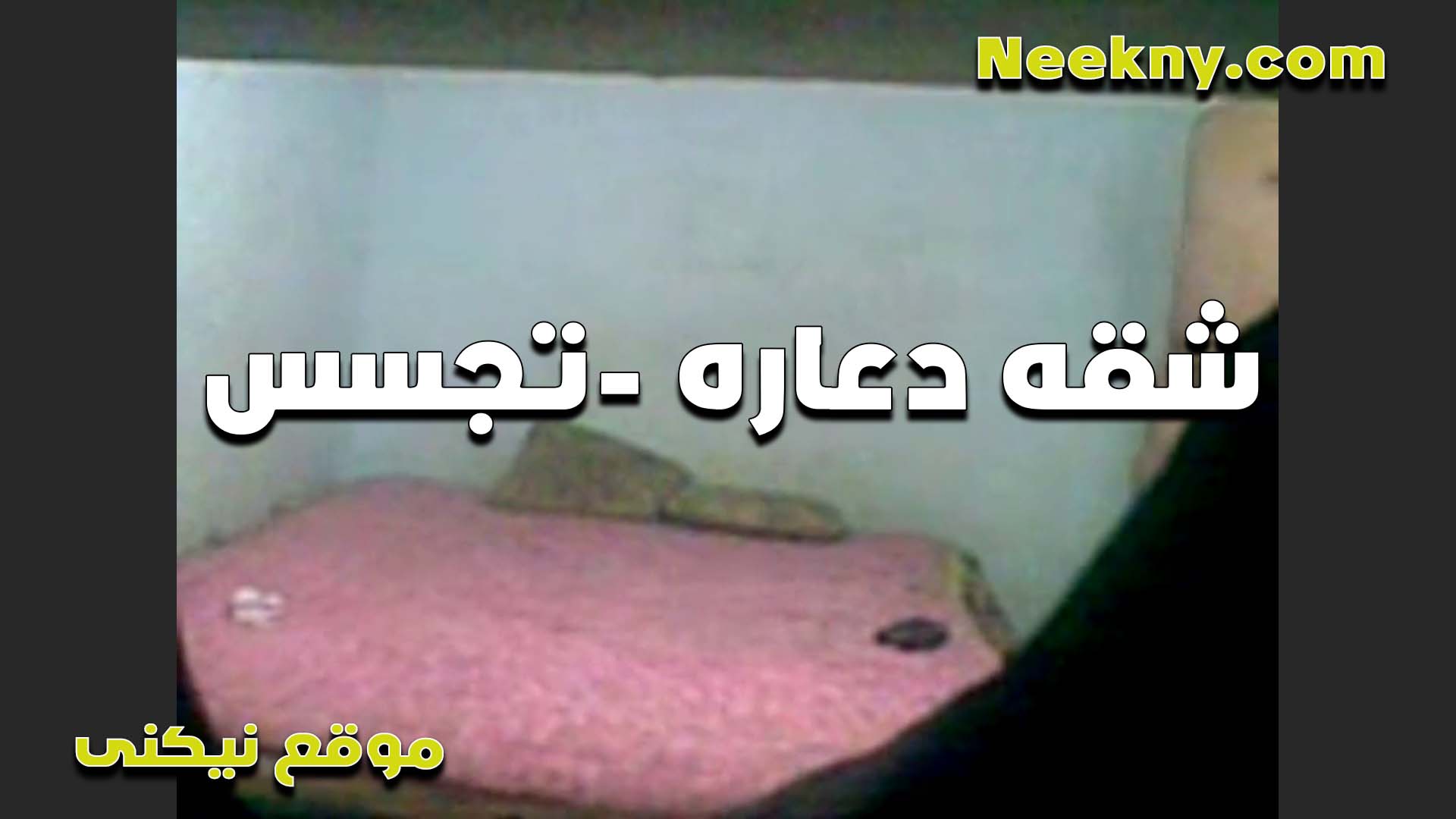 خول مصري جوه شقه نيج دعاره وبيصور الشراميط هي وبتتناك وماسك شرموطه زي العسل وشغال رزع في كسها