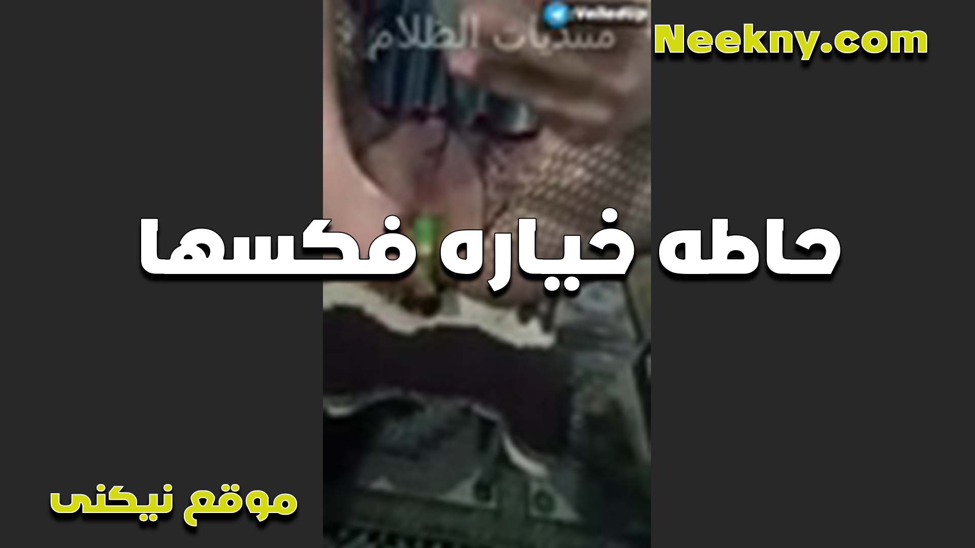 تعبانه اوي مت الهيجان اللي نيج في كسها الشرموطه حاطه الخياره كلها في كسها عشان تريح كسها الممحون