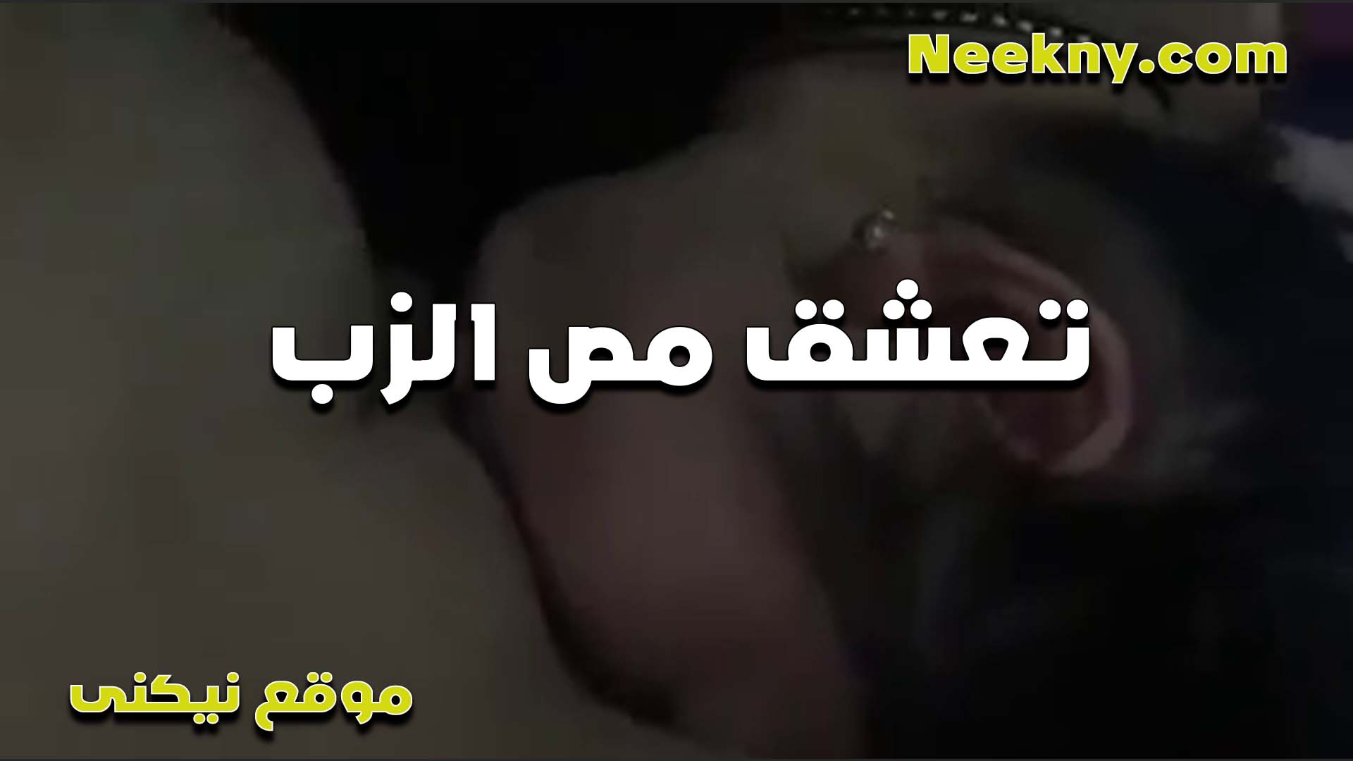 متناكه بتعشق مص الزبر اوي شرمها سكس وشغاله لحس ورضاعه زي الشرموطه اوي وبتدخله في كسها بايدها