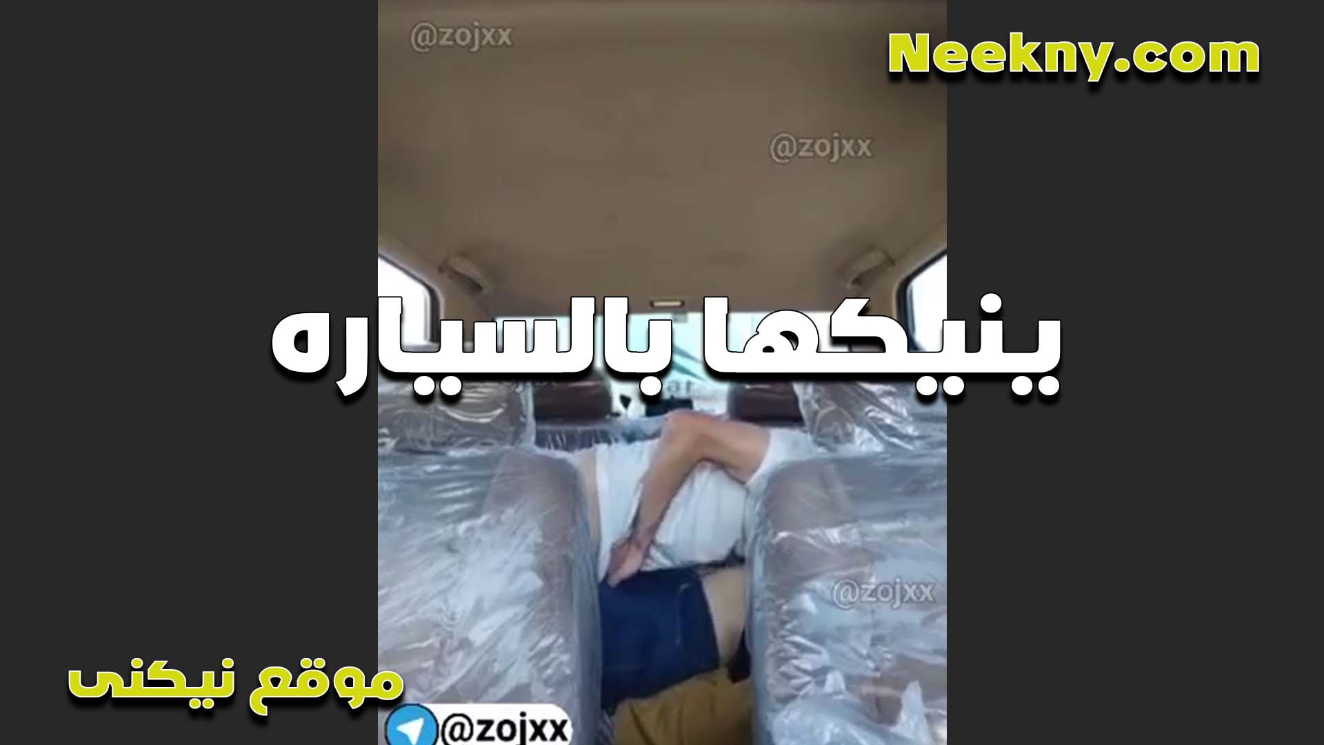 بتتناك في العربيه لبوه مصريه كسها مولع وماسكه صاحبها جوه العربيه موقع بزازى ونازله فيه نيك على زبره