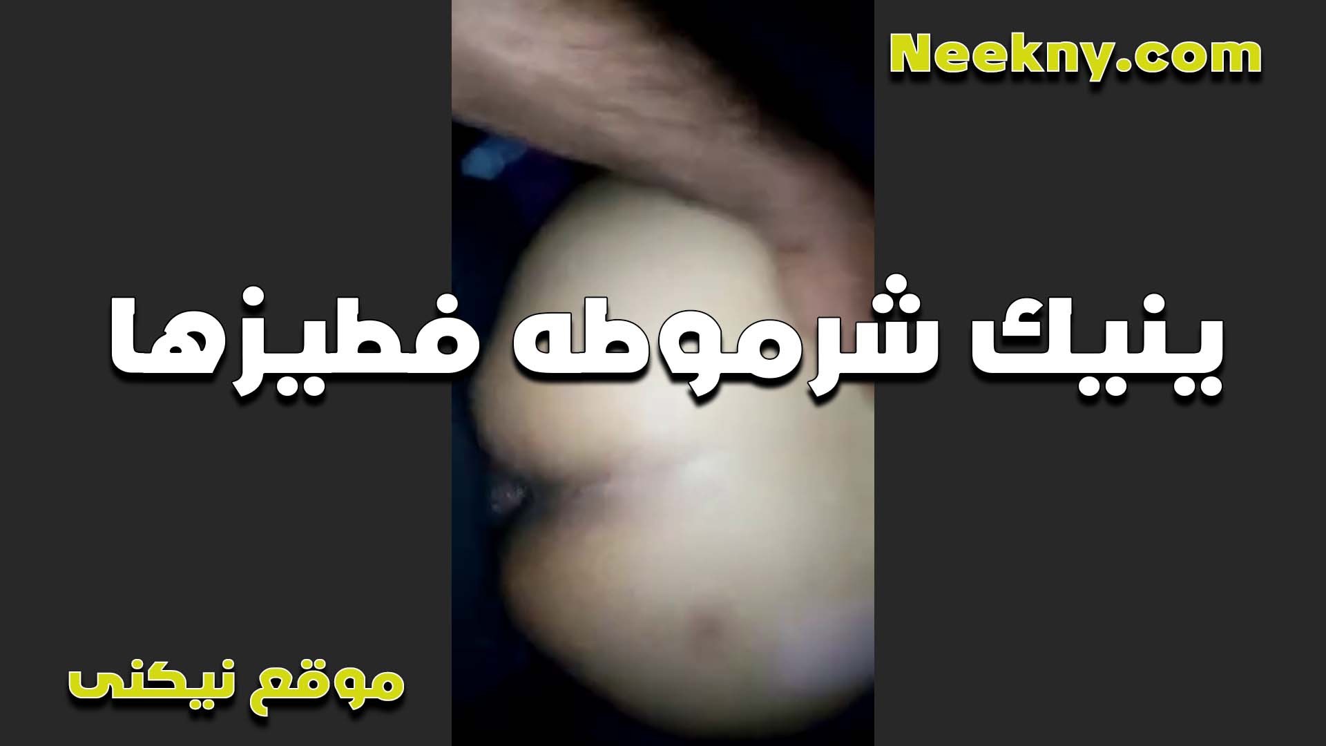 بينيك شرموطه في طيزها ومدخل زبره كله جوه خرم طيزها والشرموطه سكس امهات بتتوجع اوي من كتر ما زبره كبير