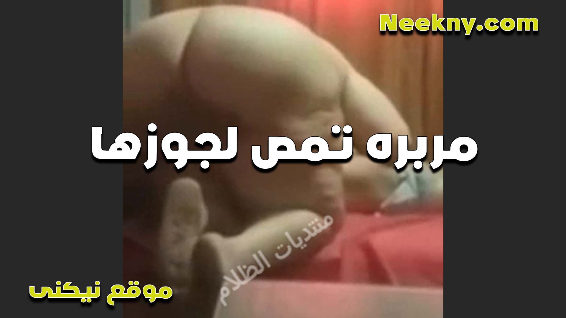 طيز جامده كبيره اوي متخيه على زبر جوزها وشغاله تمصله سكس امهات زبره عشان تركب فوق منه بطيزها