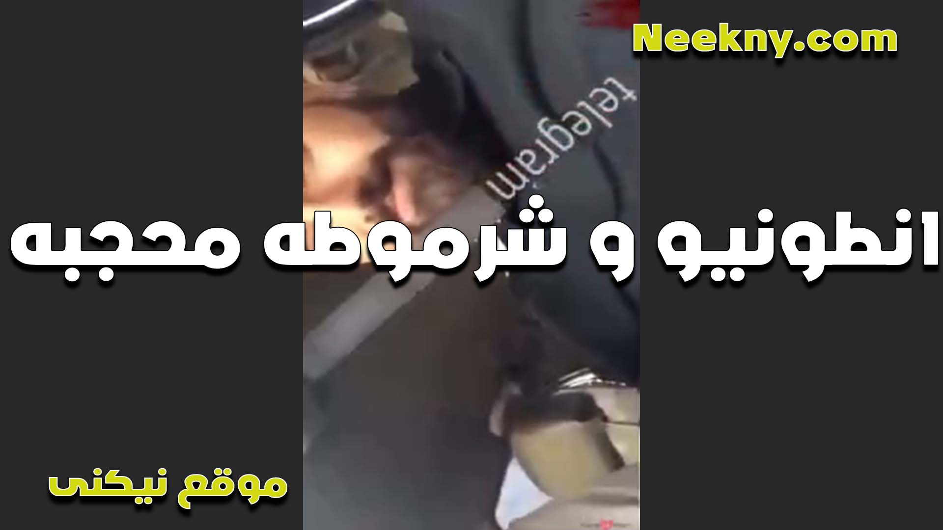 انطونيو مع شرموطه نيج عراقي محجبه وتمص زبه وبيقلعلها الحجاب ويفشخ كسها نيك الخول ويمتعها