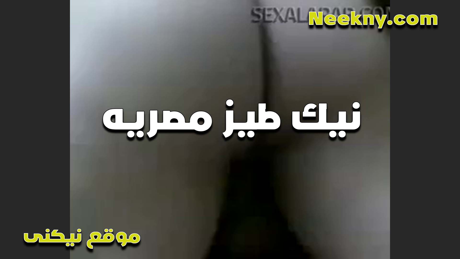 مصريه نيج تعشق النيك في الطيز بتقوله بس انت تقدر على طيزي وتكفيها نيك من زبرك