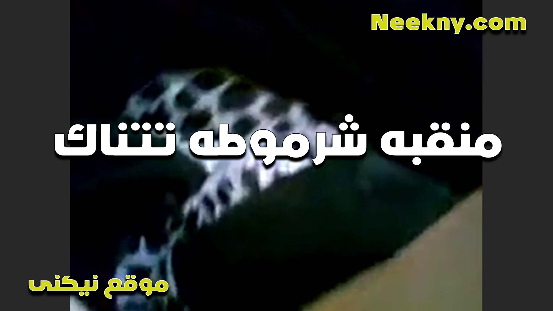 مصريه منقبه تتناك نيك مصري وتقلع عريانه احلى شرموطه تتناك في كسها الهيجان وعايزه تتدلع اوي من الزبر اللي بيفشخها