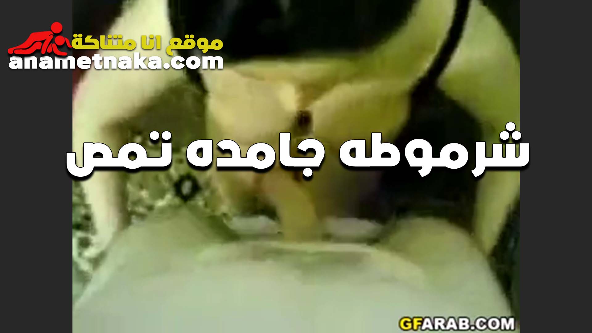 لبوه بتقول سكس مصري ميلت اوي من الوحده وكسي مولع الشرموطه جايبه واحد يمتعها ويفشخ كسها