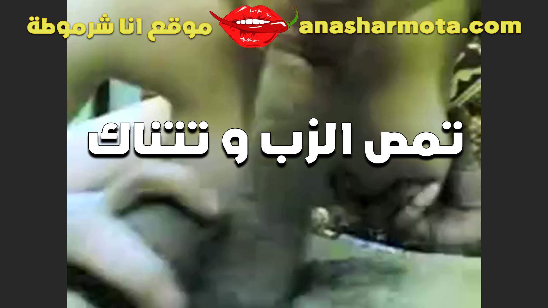 هاني الخول والشرموطه سكس  بتاعته تمصله زبه بمتعه وتفنن قحبه خبيره في دلع ومص الزب