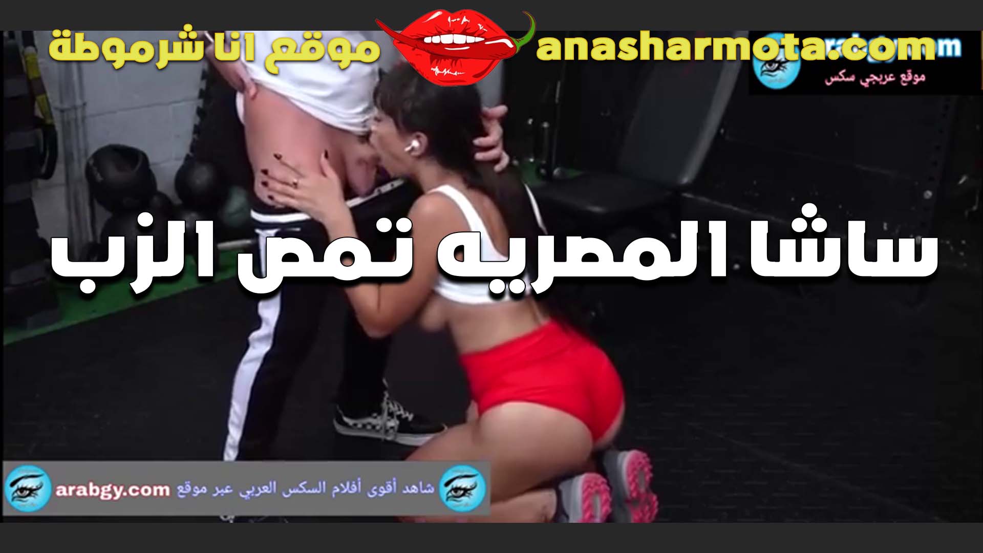 المصريه شاسا الشرموطه تمص الزب بتاع صاحب ا سكس لشقه اللي ساكنه عنده وتمتعه عشان متدفعش الايجار