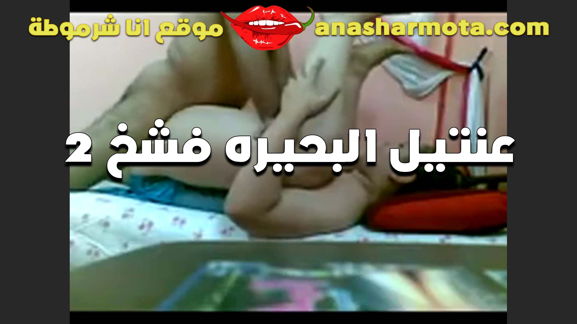 الشرموطه هيام لبوه كفر الشيخ تتناك من العنتيل بتعاها سكس وفاشخ كسها لما بسطها على الاخر