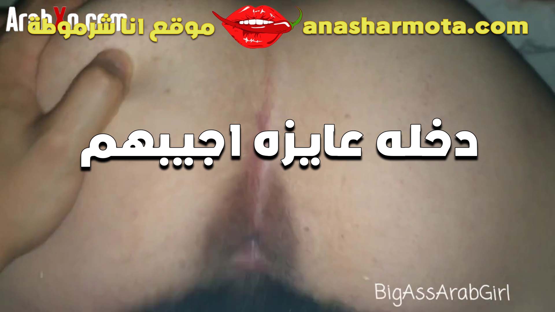 بتقوله بطلعه سكس مصري ليه يا خول دخله عايزه اجيبهم على زبك انا مولعه وكسي على اخره من السخونه