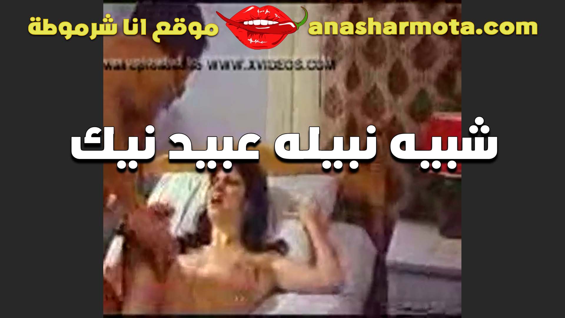 بتقوله عايزه زبرك في سكس مصري كسي ميطلعش من خالص شرموطه تعشق نيك الزبر وتتكيف من الواد