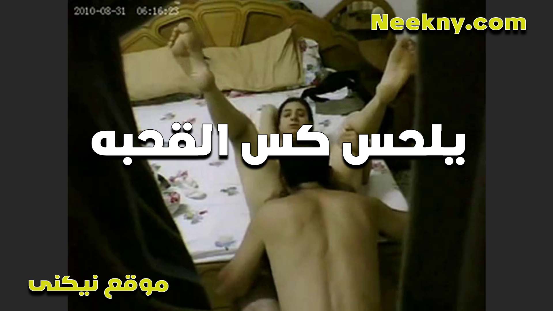 يلحس كس القحبه هي سكس مصري حصري وفاتحها رجليها وفشخاها والخول نازل على الارض تحت كسها