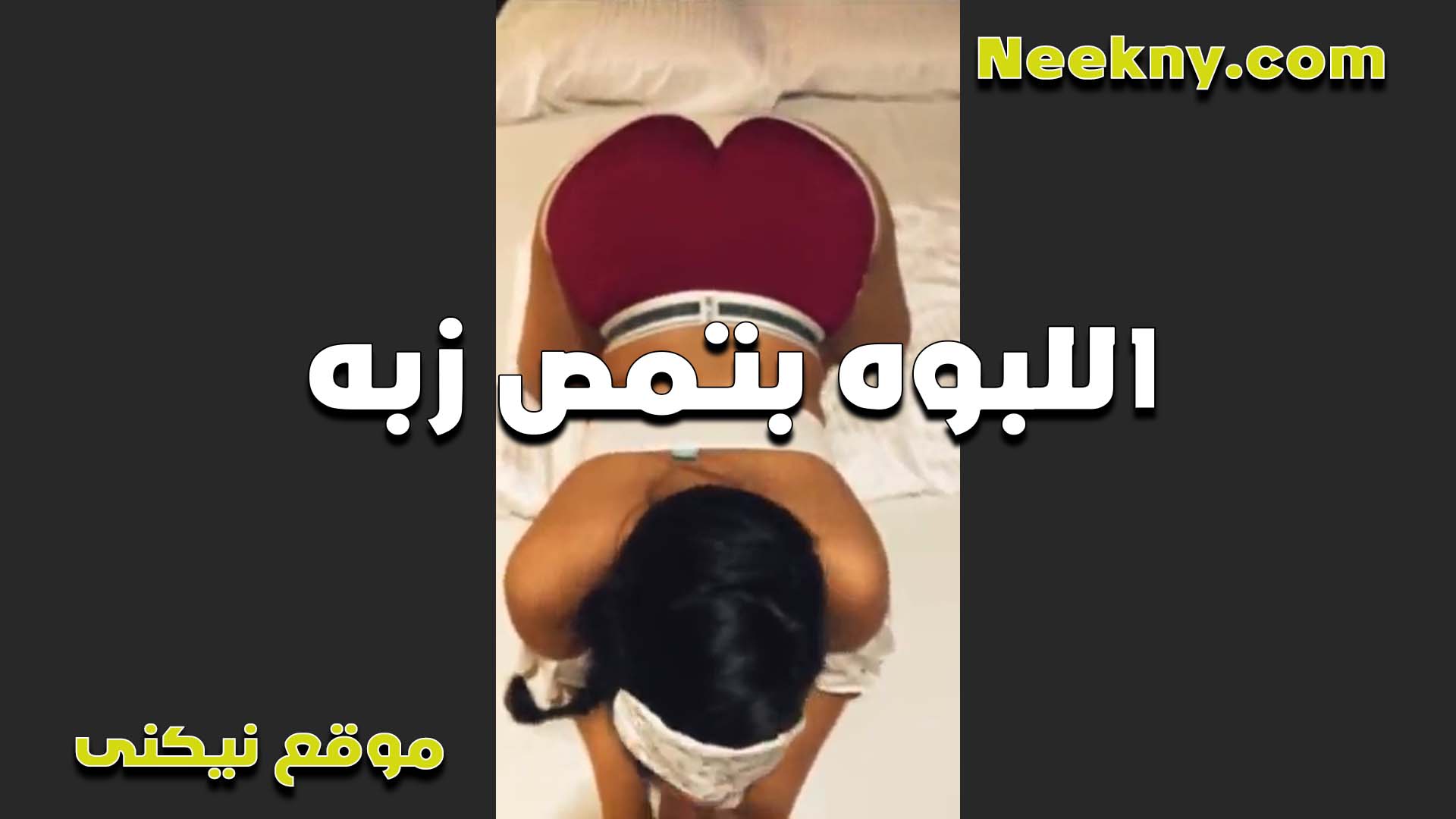 نازله على الارض زي الكلبه الشرموطه وشغاله مص في الزب اللي مكيفها مص قبل ما ينيكها xnxxسكس مصري