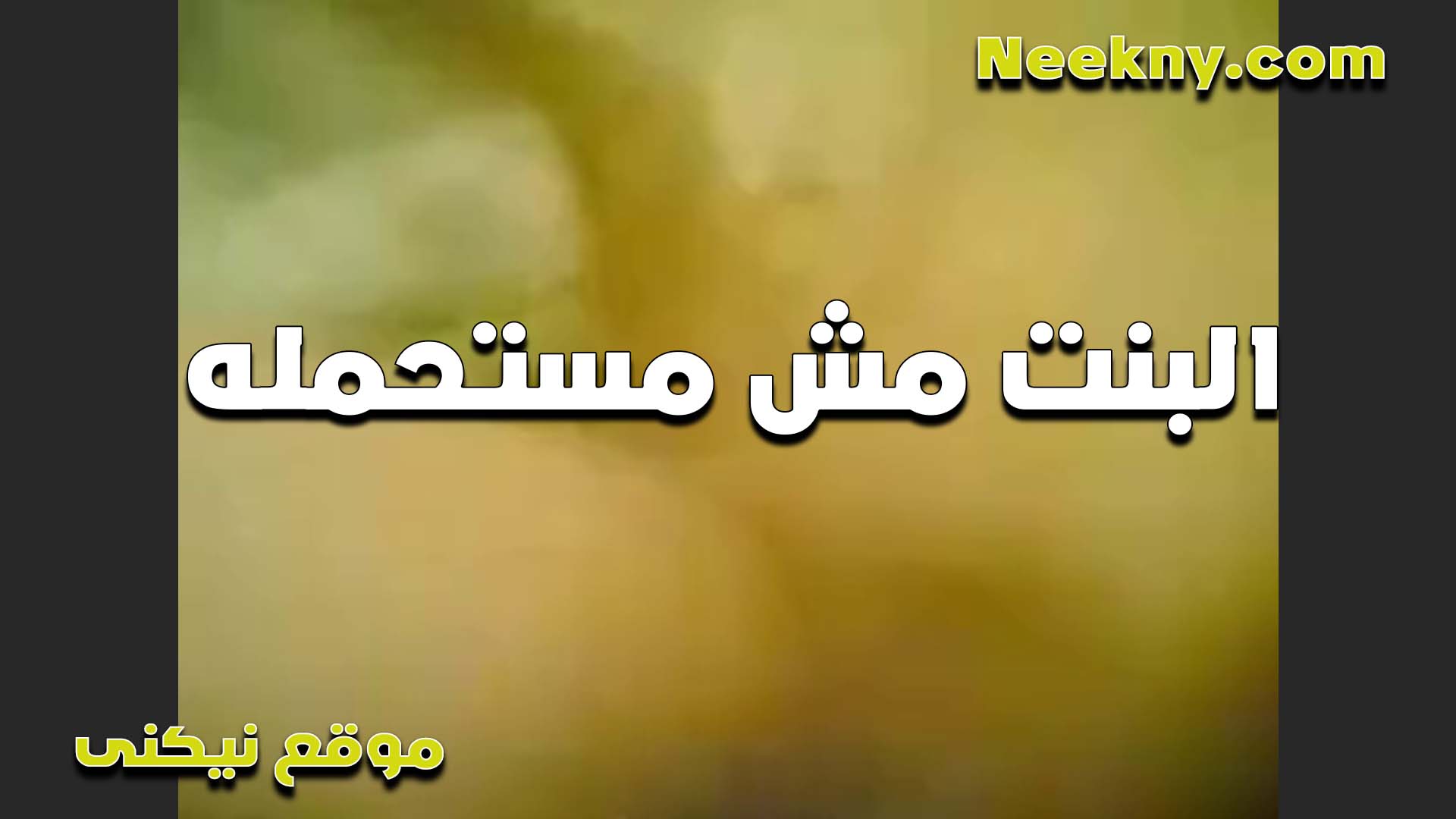 بقوله ايه اللي انت نيج عربى عراقى عايزه مني ده انت خول اوي انا خالتك يا عرص ونازل رضاعه لما فاشخ بزازها