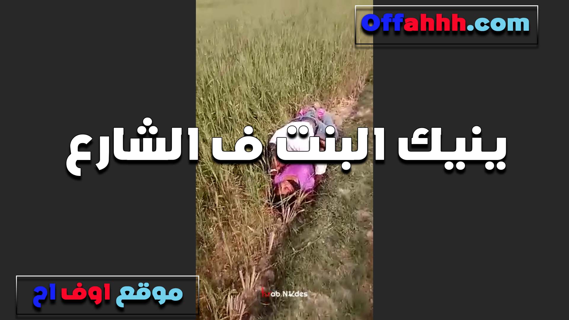 ياخدها وسط القصب الشرموطه سكس قديم ويرزعها في كسها لما اتكيفت اوي من نيك زبره