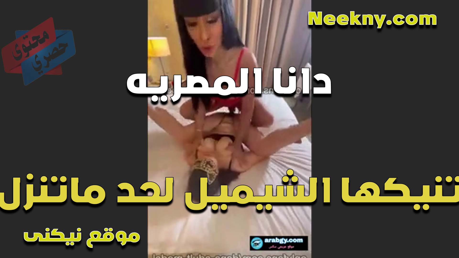 تتناك في كسها نيج من الشيميل الشرموطه دانا المصريه لغايه لما تنزل لبن كسها عليها القحبه