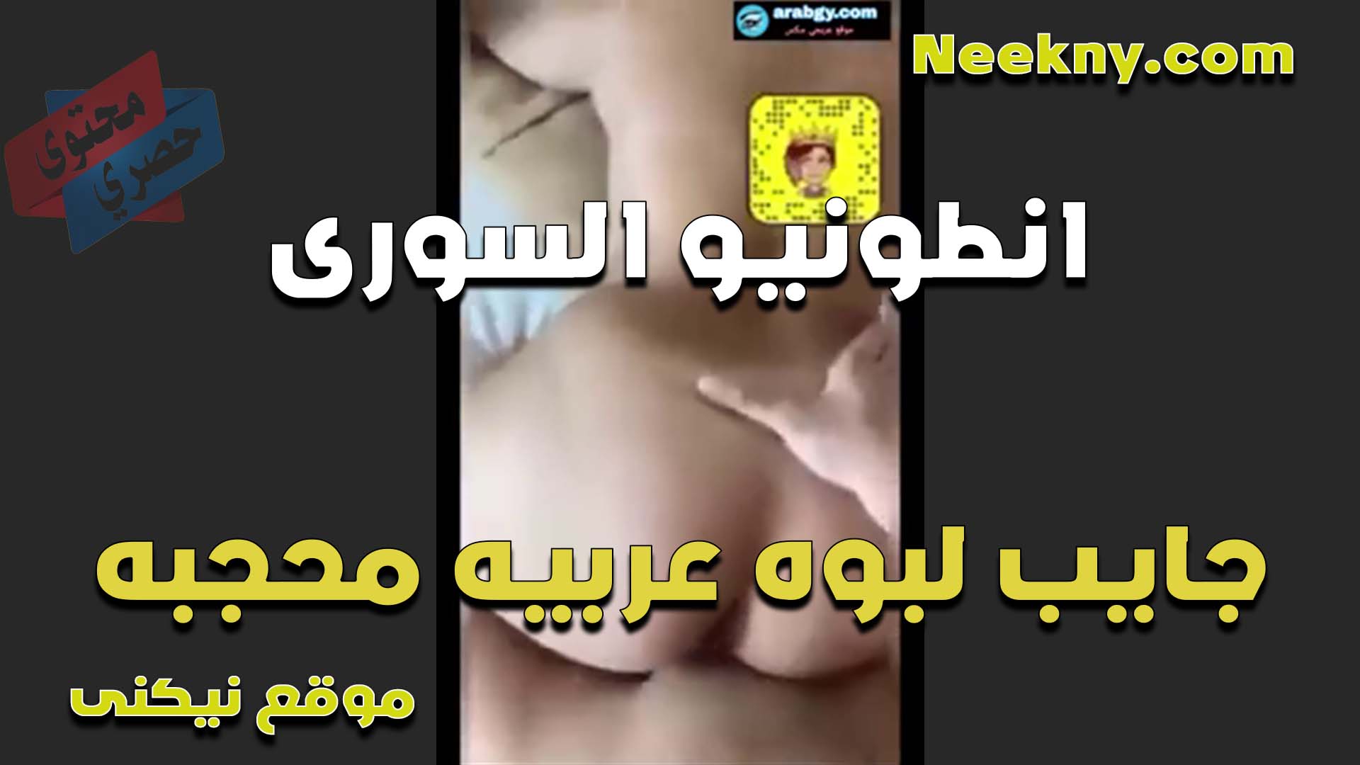 جايب لبوه عربيه محجبه الفحل انطونيو السوري ومشبعها نيك في كسها ومكيفها على الاخر زبه كبير اوي