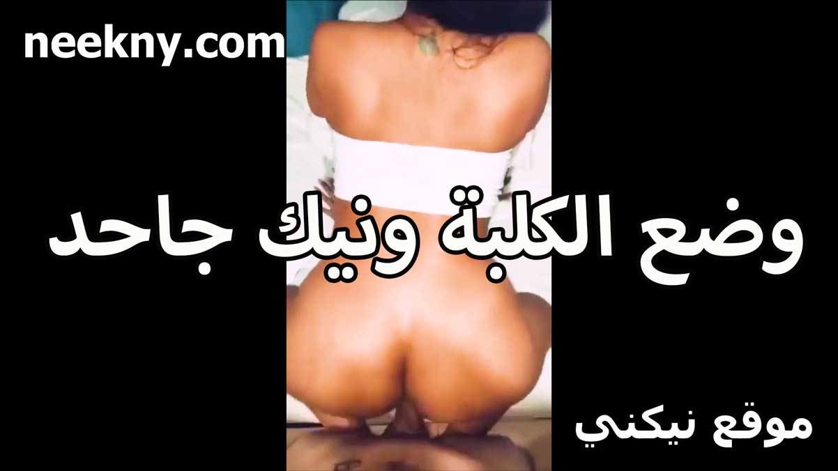 وضع الكلبه ونيك  جاحد نيك مصري من حبيبها الشرموطه بتقوله كسي اتفشخ من زبرك