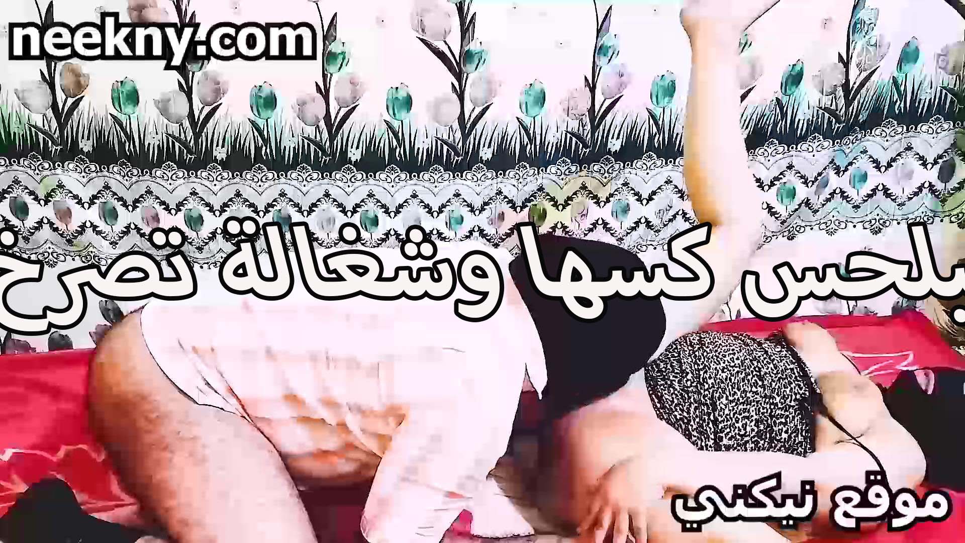 بيلحس xnxx مصري في كسها وشغاله تصرخ من كتر المتعه والشهوه كسها بينزل عسله