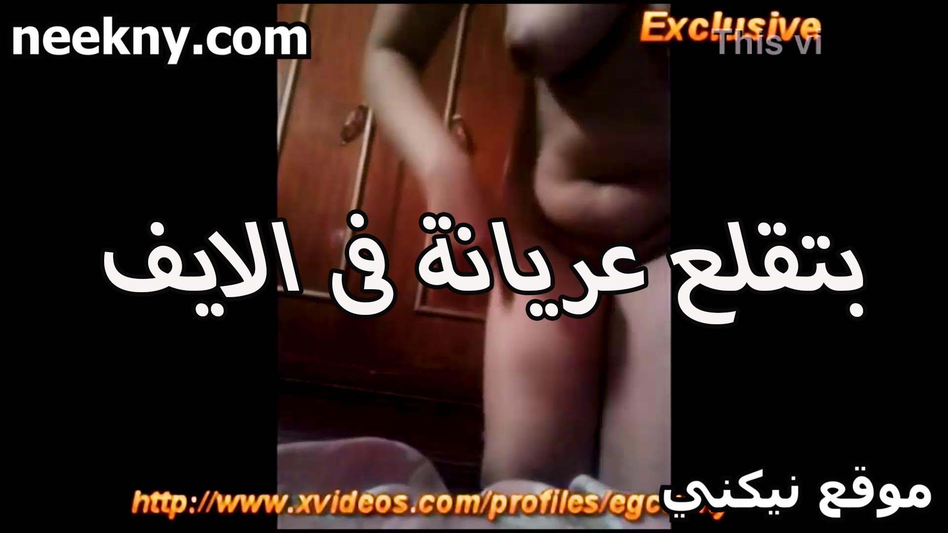 بتقلع xnxx مترجم عريانه على اللايف تتقحبن اللبوه كسها مولع عايزه اللي يطفهولها