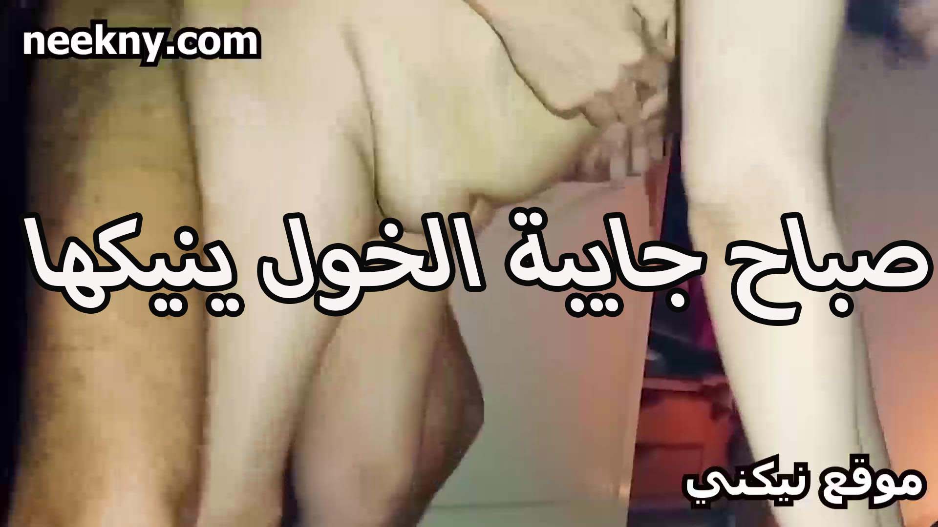 صباح الشرموطه نيك جايبه الخول عشيقها عشان ينيكها في البيت عندها