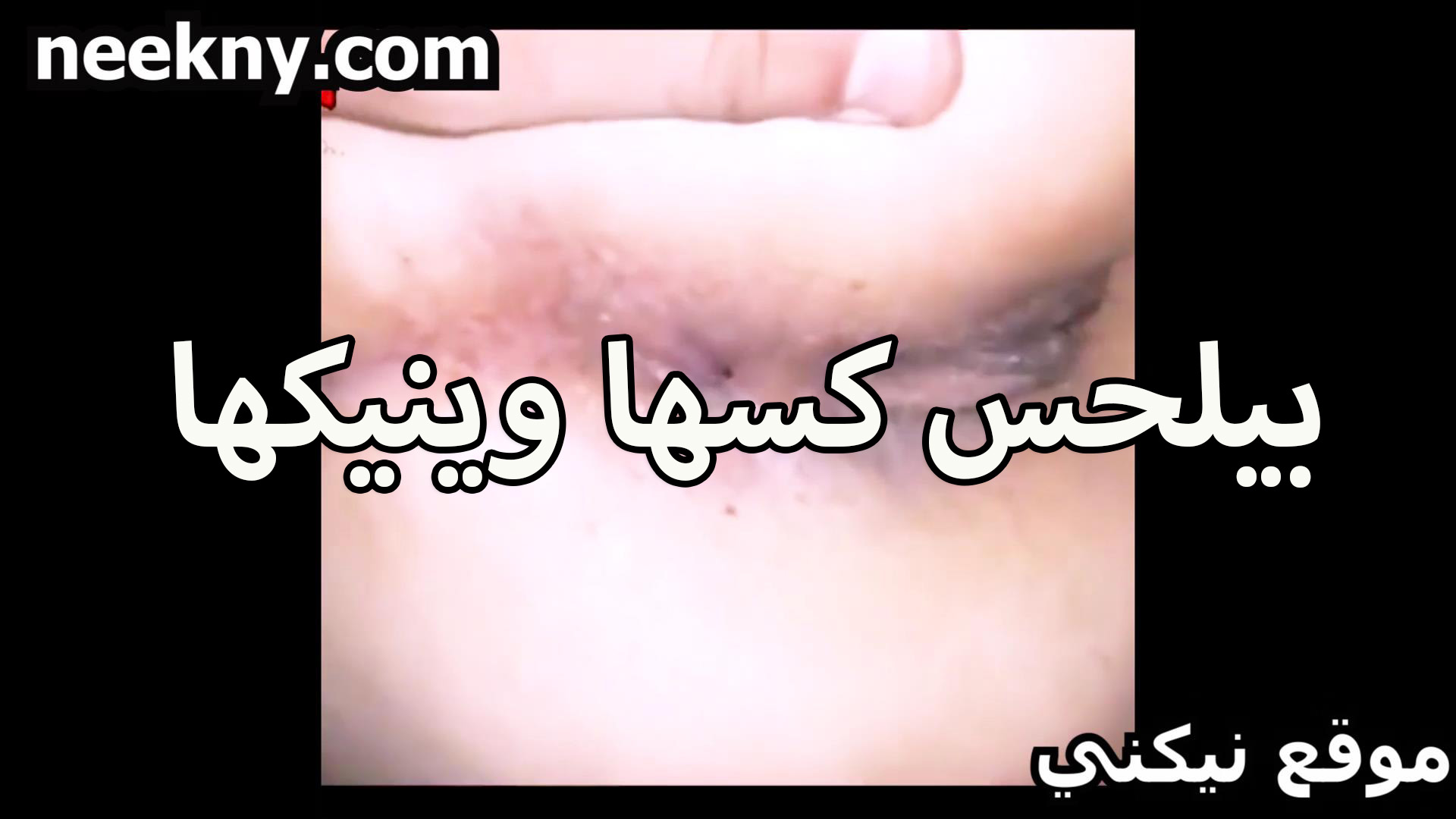 بيلحس كسها سكس نيك وينيكها الخول بلسانه لما نزلت لبن كسها الشرموطه