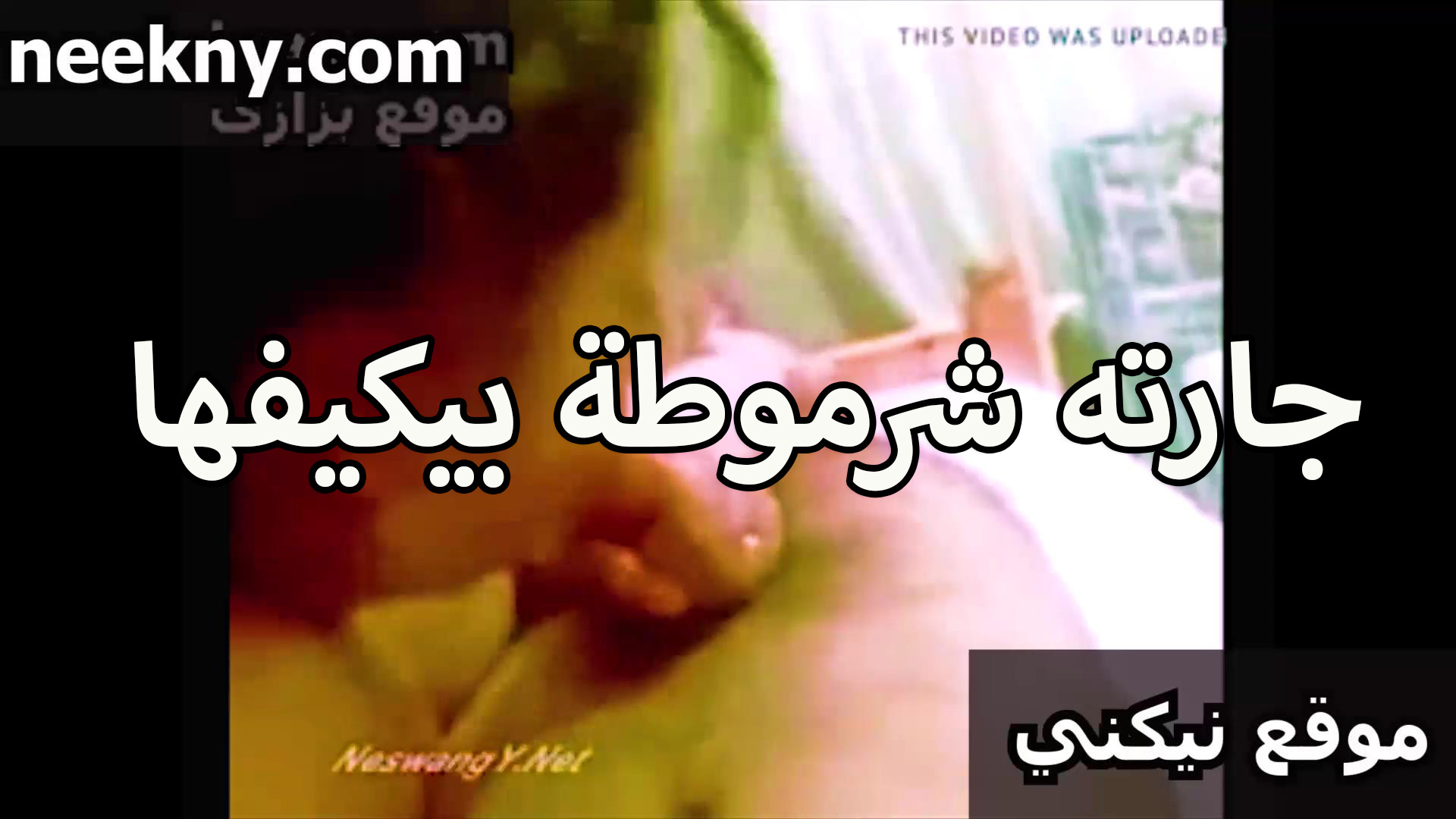 جارته سكس مصري كس شرموطه اوي وكسها حيحان بيكيفها نيك في كسها المولع