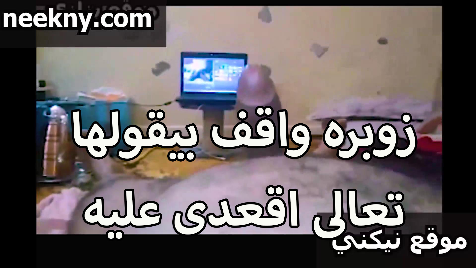 زبوره واقف اوي منتديات سكس مصري بيقولها يا شرموطه تعالي اقعدي عليه واتنططي جامد