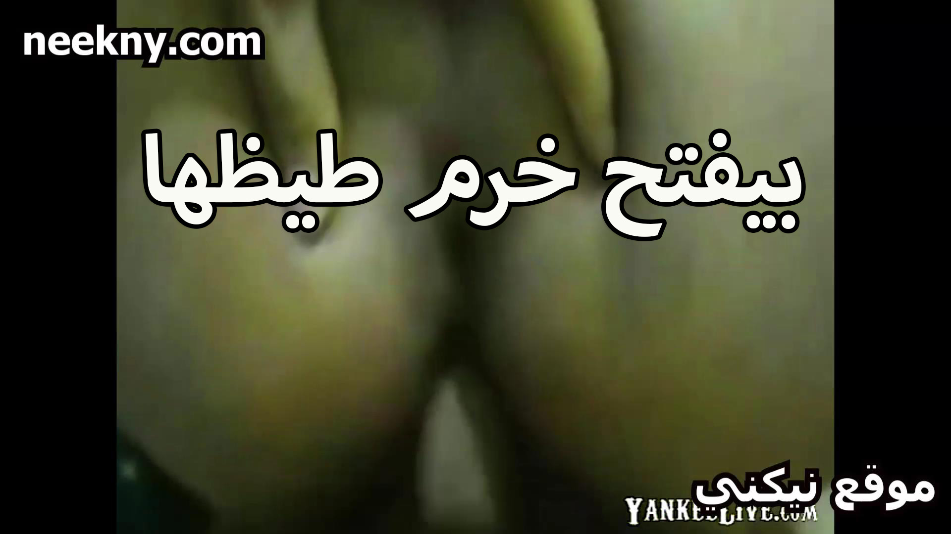 بيفتح خرم طيز الشرموطه سكس نيك مصري هيام بايده ويدخل زبره براحه وتصوت من الوجع