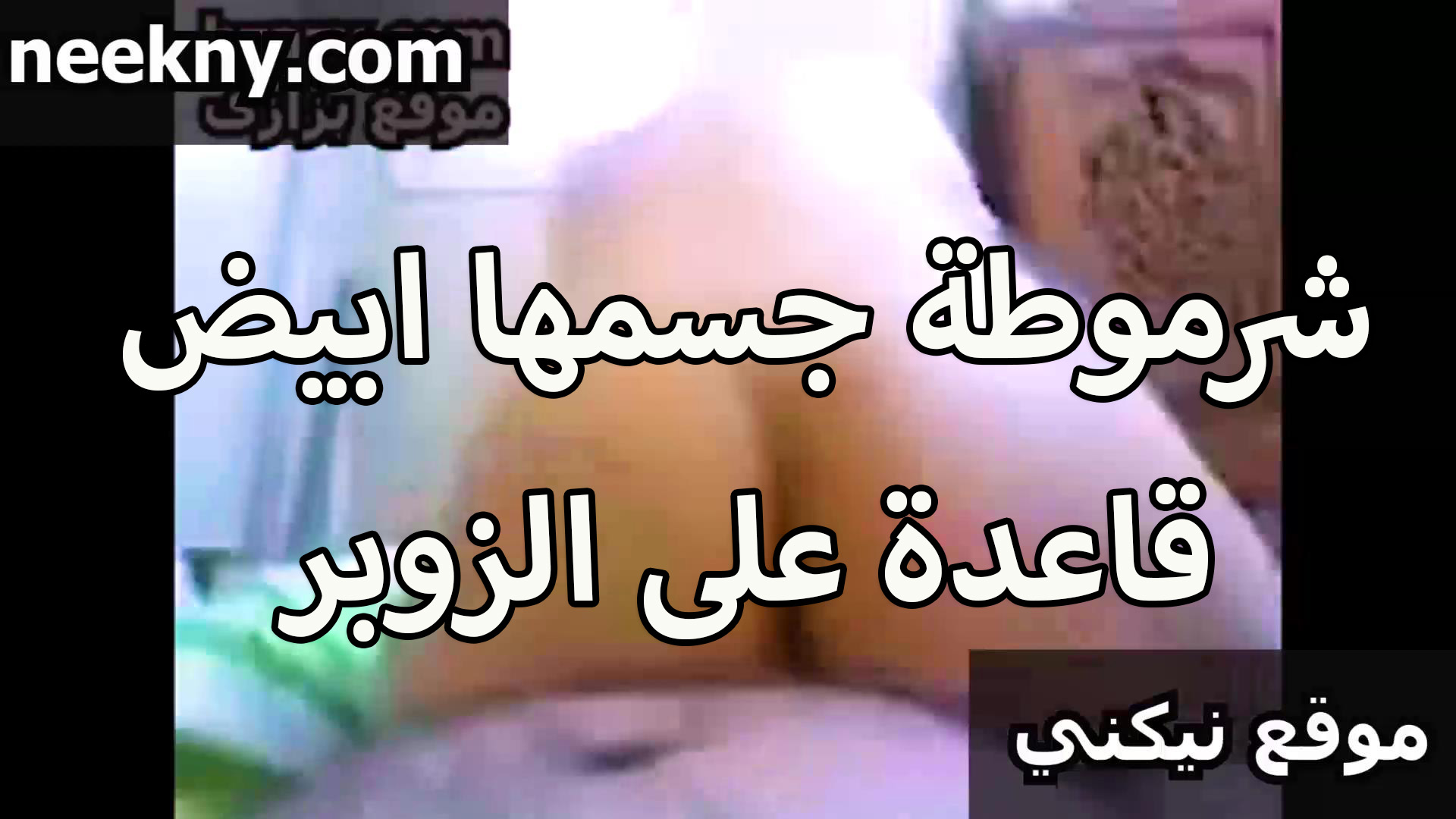 شرموطه سكس مصري كس جسمها ابيض مربرب قاعده على الزبر وشغاله تطلع وتنزل على زبره