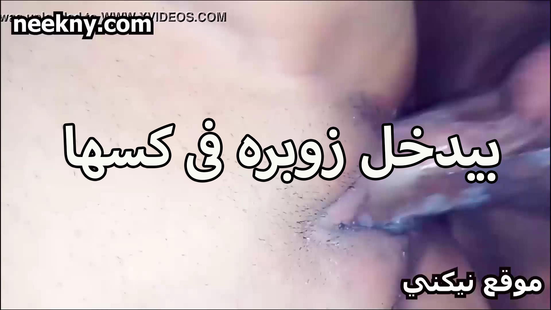 بيدخل زبره في سكس مصري جامد كسها وغرقانه عسل من كتر شهوتها المولعه شرموطه نار بتتناك