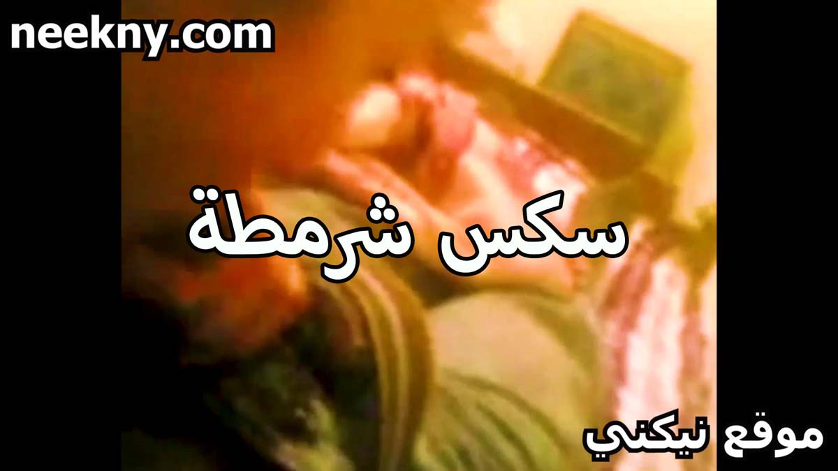 سكس شرمطه ولبونه الشرموطه سكس جديد حبيبه كسها هايج بتتناك من عشيقها في شقته